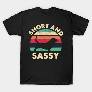 Vintage Retro Funny Baset Hound Dog Short Sassy T-Shirt